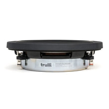 Load image into Gallery viewer, TrulliAudio  TD10S 10&quot; Subwoofer
